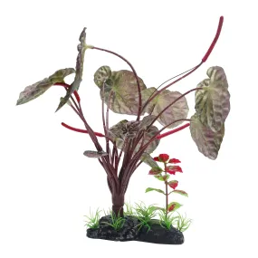 Fluval Red Lotus Plant 10 Inch