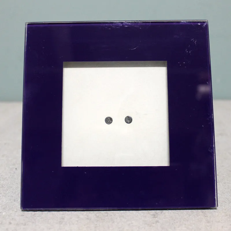 Picture Frame Violet